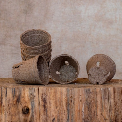 PT100 Sphagnumpotte rund