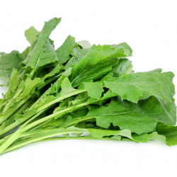 Senneps Spinat (øko)