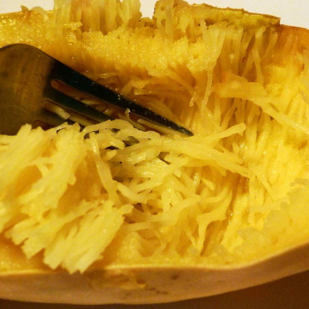 Spaghetti Squash (øko)