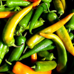 CH05 Chili. Middel stærk (øko)