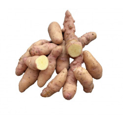 Corne de Gatte (øko)