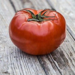 Bøftomat. Kæmpe (øko)