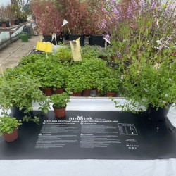 Varmemåtte 120x50 cm