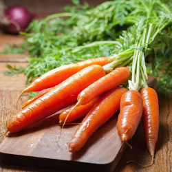 GU20 Gulerod. Sommer-efterår (øko)