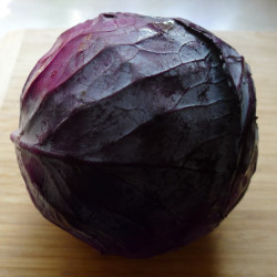 KL80 Rødkål (øko)