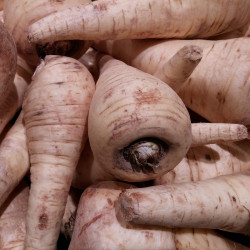 PA10 Pastinak (øko)