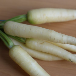 RA30 Kinaradise/Daikon (øko)