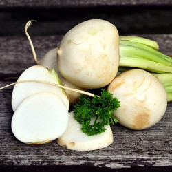 RB25 Rødbede. Hvid. Rund (øko)