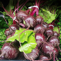 RB30 Rødbeder. Rund (øko)