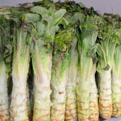 SA003 Aspargessalat (øko)