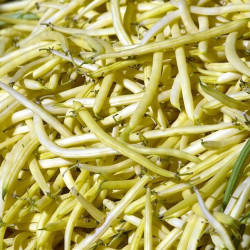 BN30 Buskbønner. Gul (øko)
