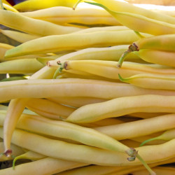 BN55 Stangbønner. Gul (øko)