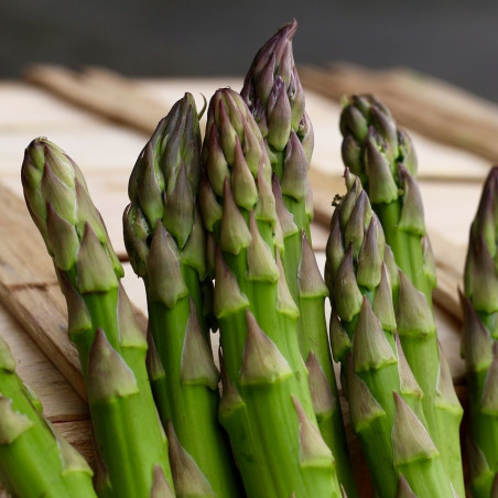 PAS10 Asparges. (øko)